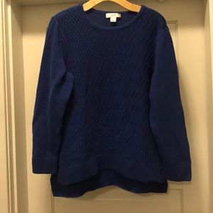 Blue Sweater
